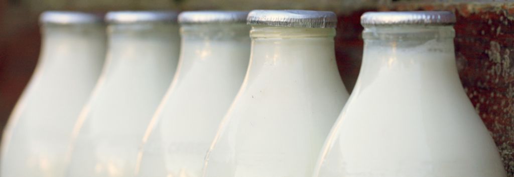 Harvard-Studie deckt auf: Milch ist krebserregend