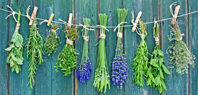 Vegan, gesund und schmackhaft: Kräuter machen den Unterschied