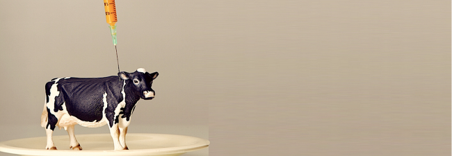 Antibiotika in der Milch: Was jeder wissen sollte